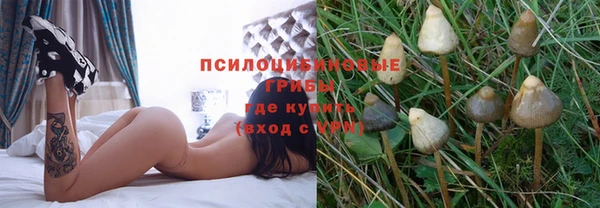 a pvp Алексин