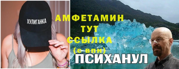 молекула духа Алексеевка