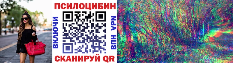 нарко площадка клад  Тогучин  Галлюциногенные грибы MAGIC MUSHROOMS 